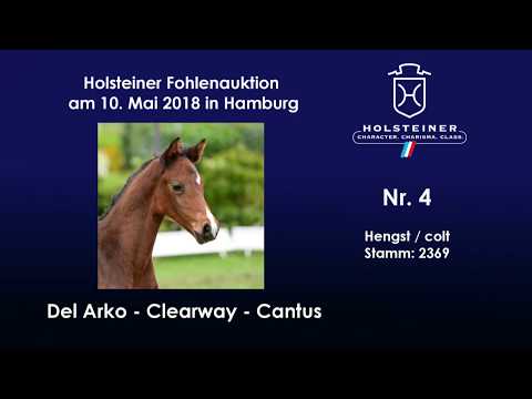 Holsteiner Fohlenauktion Hamburger Derby | Nr. 4 v. Del Arko - Clearway