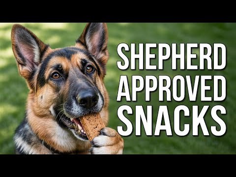 The Ultimate Guide to the 4 Homemade Dog Treats That Will Make Your Dog Go Crazy: GSD Approved