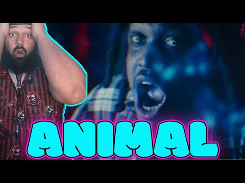 MAGNOLIA PARK  - ANMILAL | REACTION