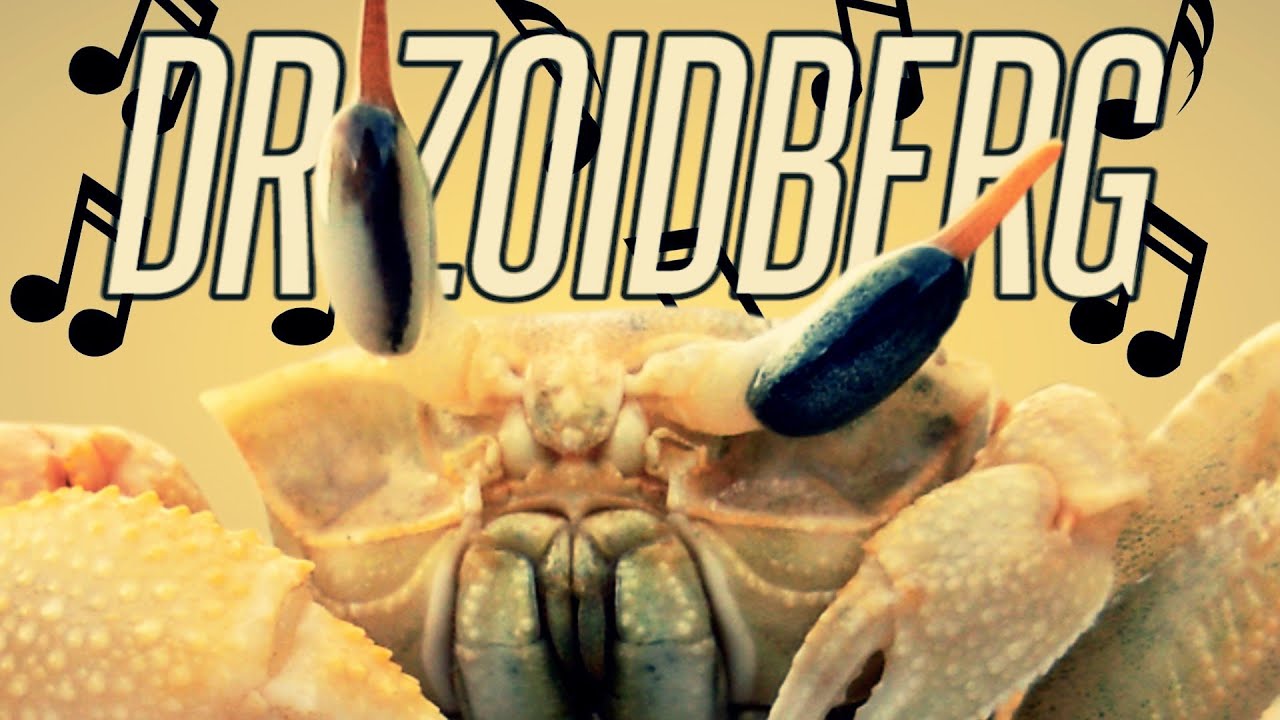 DR ZOIDBERG, DR ZOIDBERG! - Goat Simulator (5) thumbnail