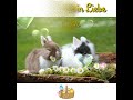 Frohe Ostern 2023 Pfiffige Häschen Ein Kleines Gedicht Zur Osterzeit