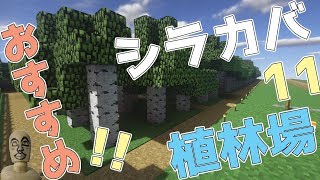 【#原木生産】きれいな小川の近くに植林場を作る！実況Part11【#マイクラ】【最新村でスローライフ生活】
