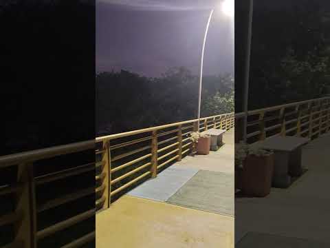 Ciénaga El palmar, Pijiño del Carmen (Magdalena) Colombia.