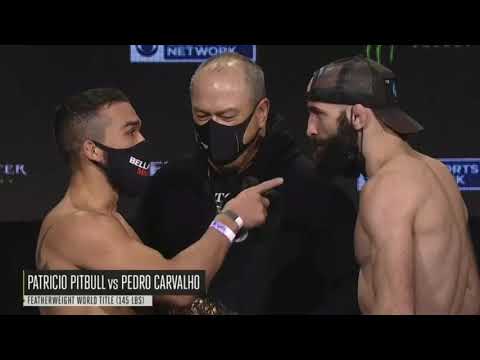 MMA: Pedro Carvalho desafiou 'Pitbull' antes do embate que pode valer um título