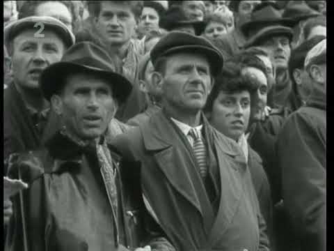 Velká pardubická 1960