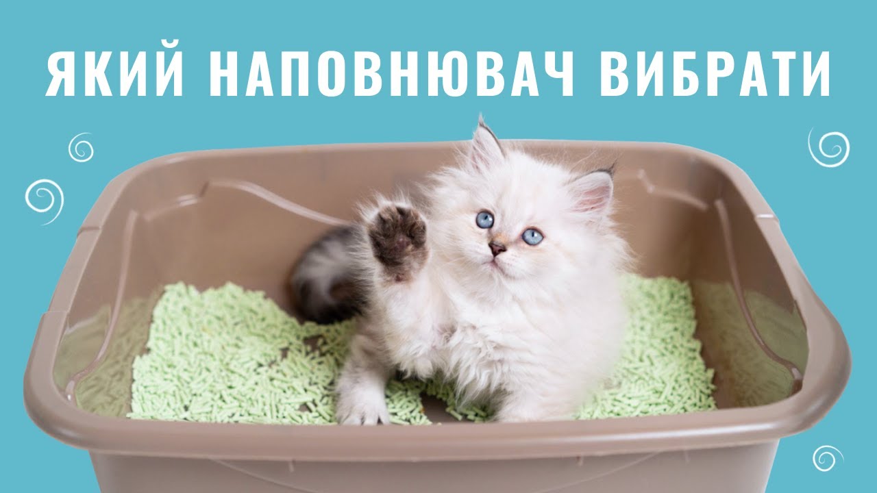 YouTube video preview