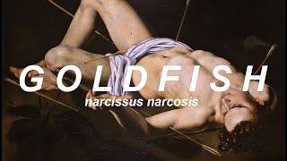 goldfish, until the ribbon breaks {tradução}