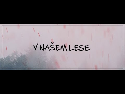 Band-a-SKA - Band-a-SKA  -  V Našem lese (Official Lyric Video)