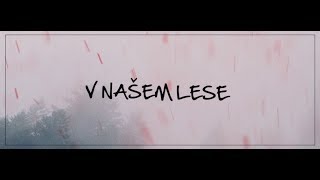 Video Band-a-SKA  -  V Našem lese (Official Lyric Video)