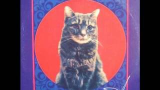 Themselves - Terror Fabulous (Vinyl Rip)