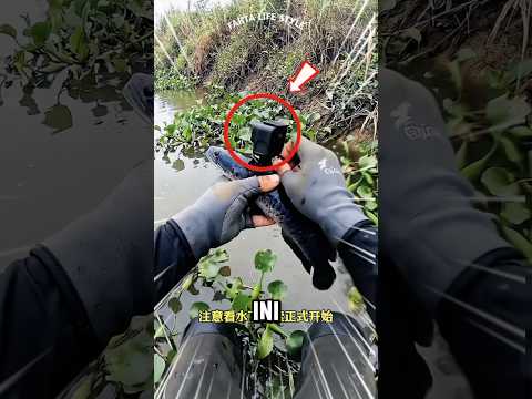 masang kamera pengintai di ikan, hasilnya sangat mengejutkan!? 🥺