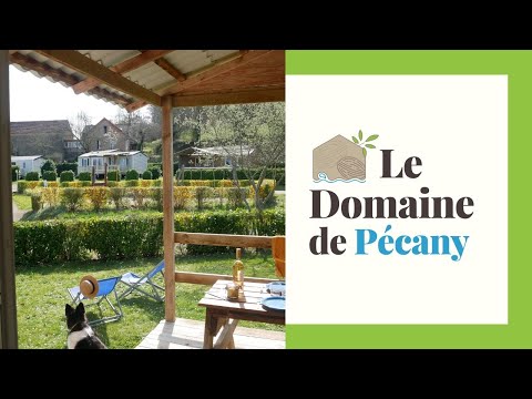 Camping Noix de Pecan'y - Camping Dordogne - Image N°2
