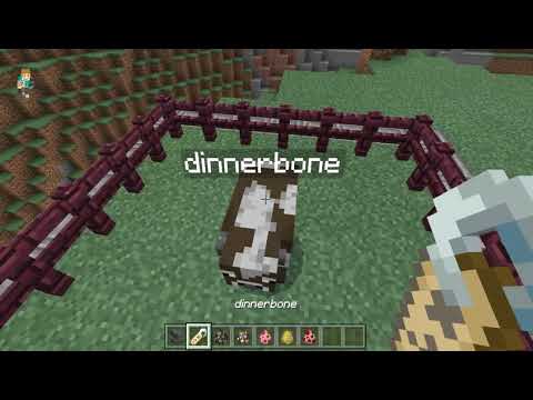 Kpykie - Minecraft (Jeb_ and Dinnerbone glitch)