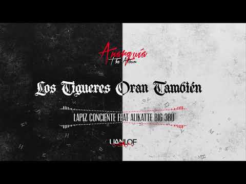 Lapiz Conciente - Los Tigueres Oran Tambien ft. Alikatte Big 3bu