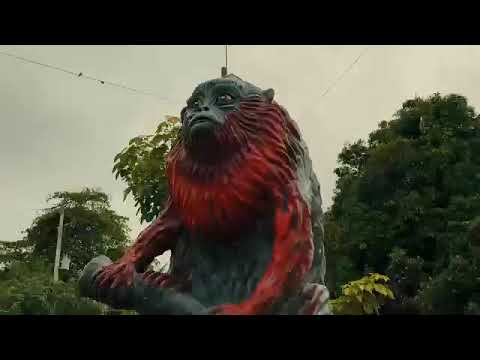 Valparaíso, Caquetá un destino para descubrir, disfrutar y regresar