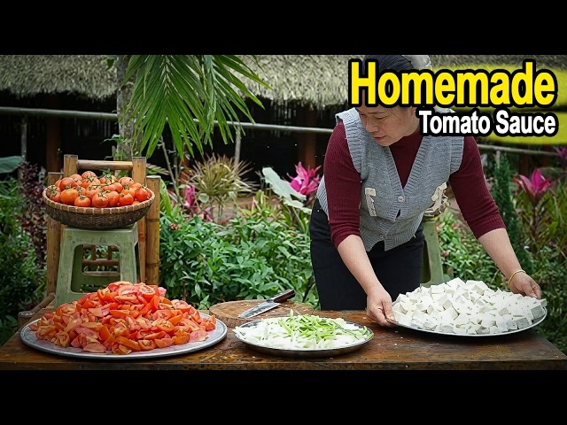 Homemade Tofu in Tomato Sauce: Production, Storage, and Selling Guide