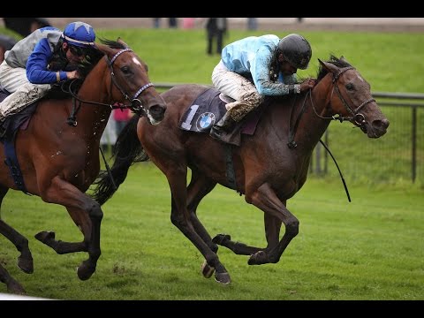 Düsseldorf: BMW Preis Düsseldorf (Listenrennen) - Siegerin: Serienholde