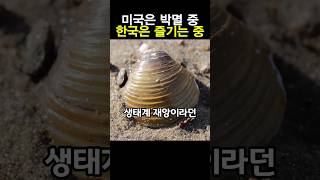 미국 생태계 교란종이라 박멸하는 조개를 한국에서는 방류하며 키우는 클라스