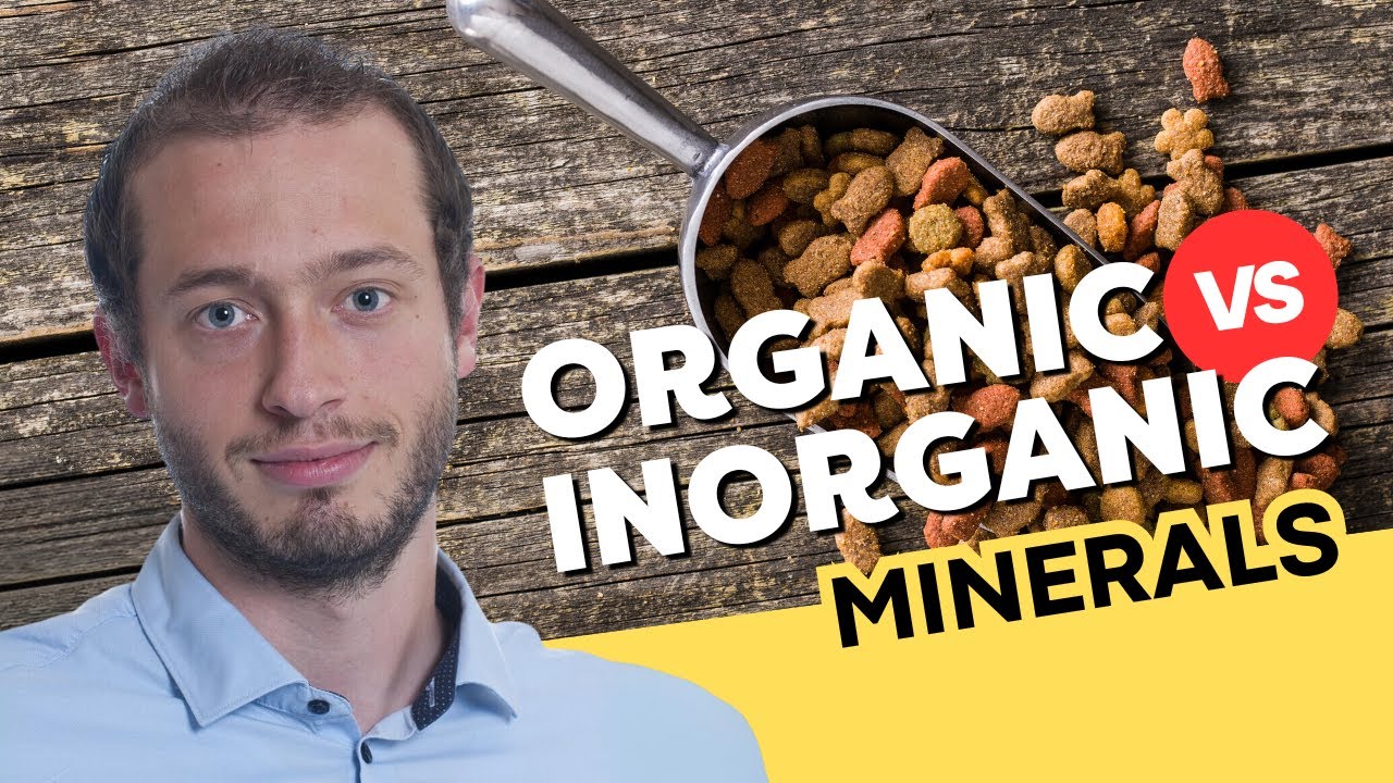 Dr. Gavin Boerboom: Trace Minerals in Pet Food