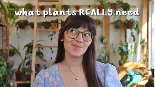 How to Create the OPTIMAL Houseplant Environment