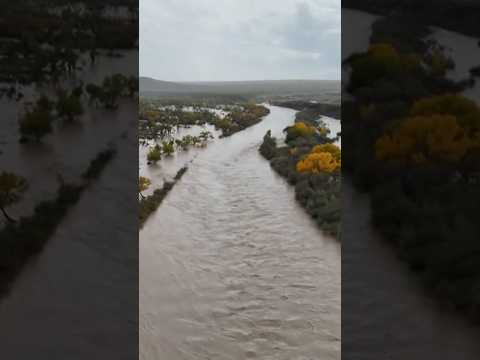 Las lluvias inundan barrios de Shiprock en Nuevo México #shorts