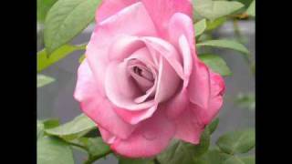 Danny Boy - Megan Mullally