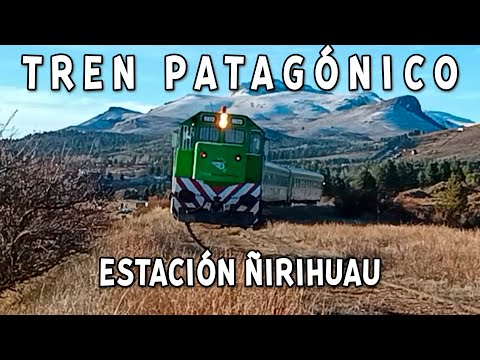 PATAGONIAN TRAIN BARILOCHE ENGINEER JACOBACCI VIA BRIDGE AND ÑIRIHUAU STATION LOCOMOTIVE GT 22 9073