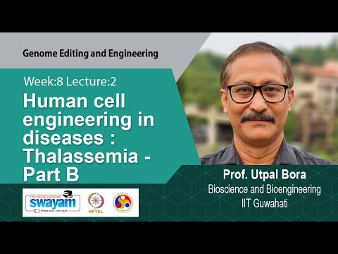 Genome Editing and Engineering Intro Video