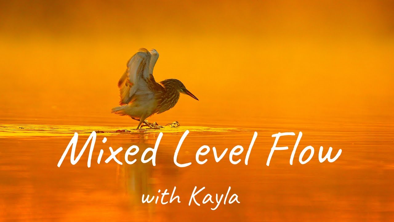 Mixed Level Flow with Kayla