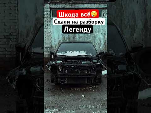 5 декабря 2024 г.