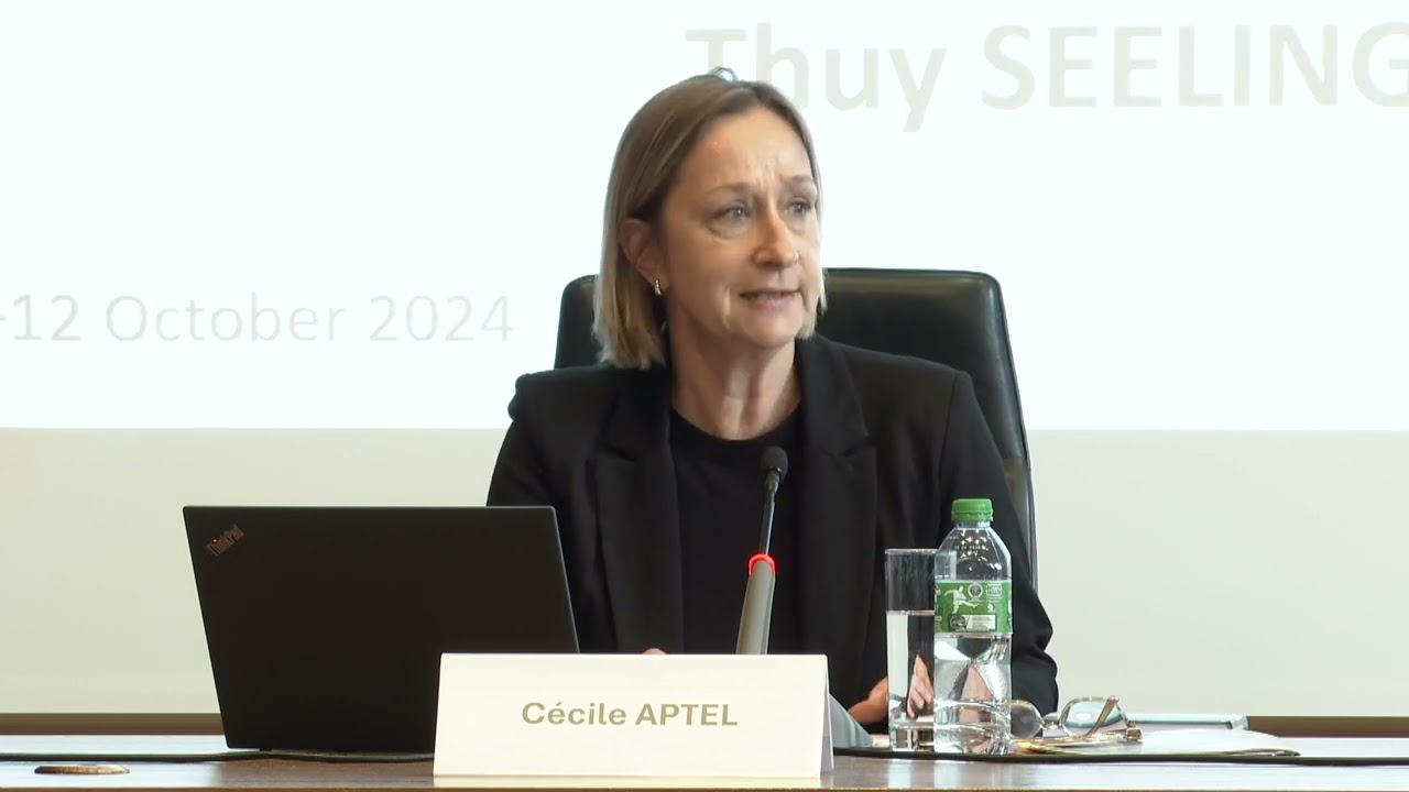 Nuremberg Forum 2024 - Panel II