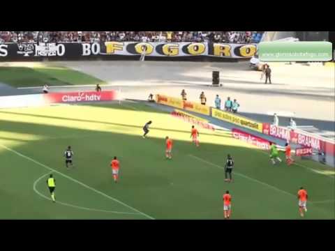 Melhores momentos Botafogo 2 x 1 Nova Iguaçu - Campeonato Carioca 2015 - www.gloriosobotafogo.com