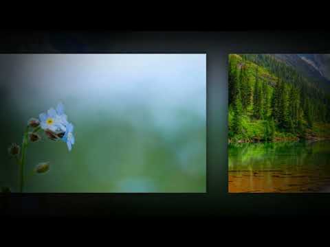 Dušan Cvetković - Dodirni rukom žice