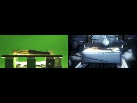 Danny Fernandes f. Belly - Automatic (VFX Breakdown)