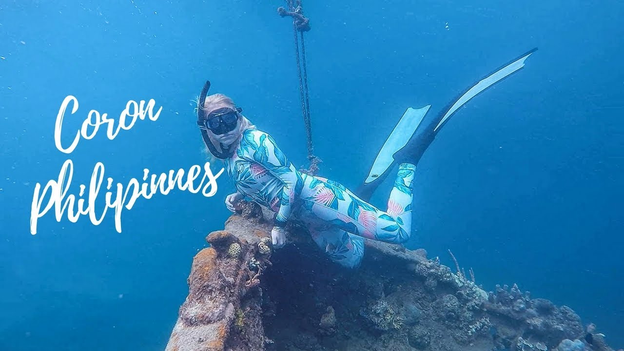 Catch a glimpse into underwater world at East Tangat Gunboat.