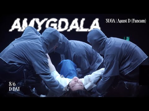 [4K] 230806 AMYGDALA | ENG SUBS 🔥 DDAY FINAL IN SEOUL DAY 3 방탄소년단 슈가 직캠