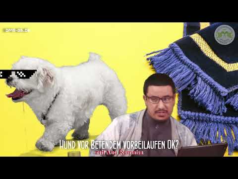 Abu Rumaisa - HUND VOR BETENDEM VORBEILAUFEN OK?
