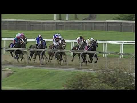 20191030 Hollywoodbets Greyville Express Clip Race 7 won by MASTER OF ILLUSION