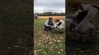 True love. #animals #love #bestmoment #popular #beutiful #2022 ❤️😊👍