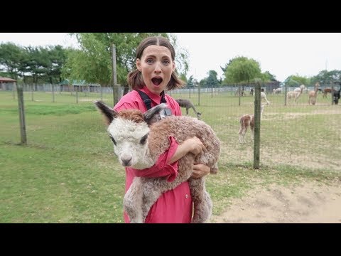 Kristy Glass Knits: Arrow Acres Farm