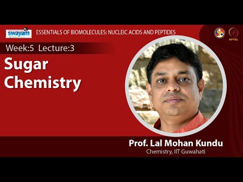 Essentials of Biomolecules Nucleic Acids and Peptides