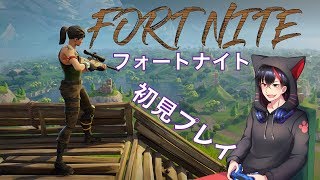 [PS4]【FORTNITE配信】フォートナイト初見プレイ！！【緋優】#89