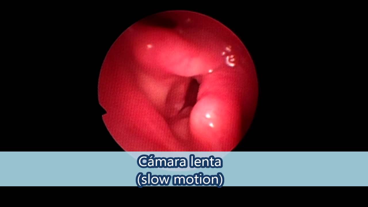 Alejandra Cruz Lozano-3