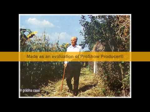 Traian Dorz - Ce bine-i printre voi iubiti si dragi sufletului meu...