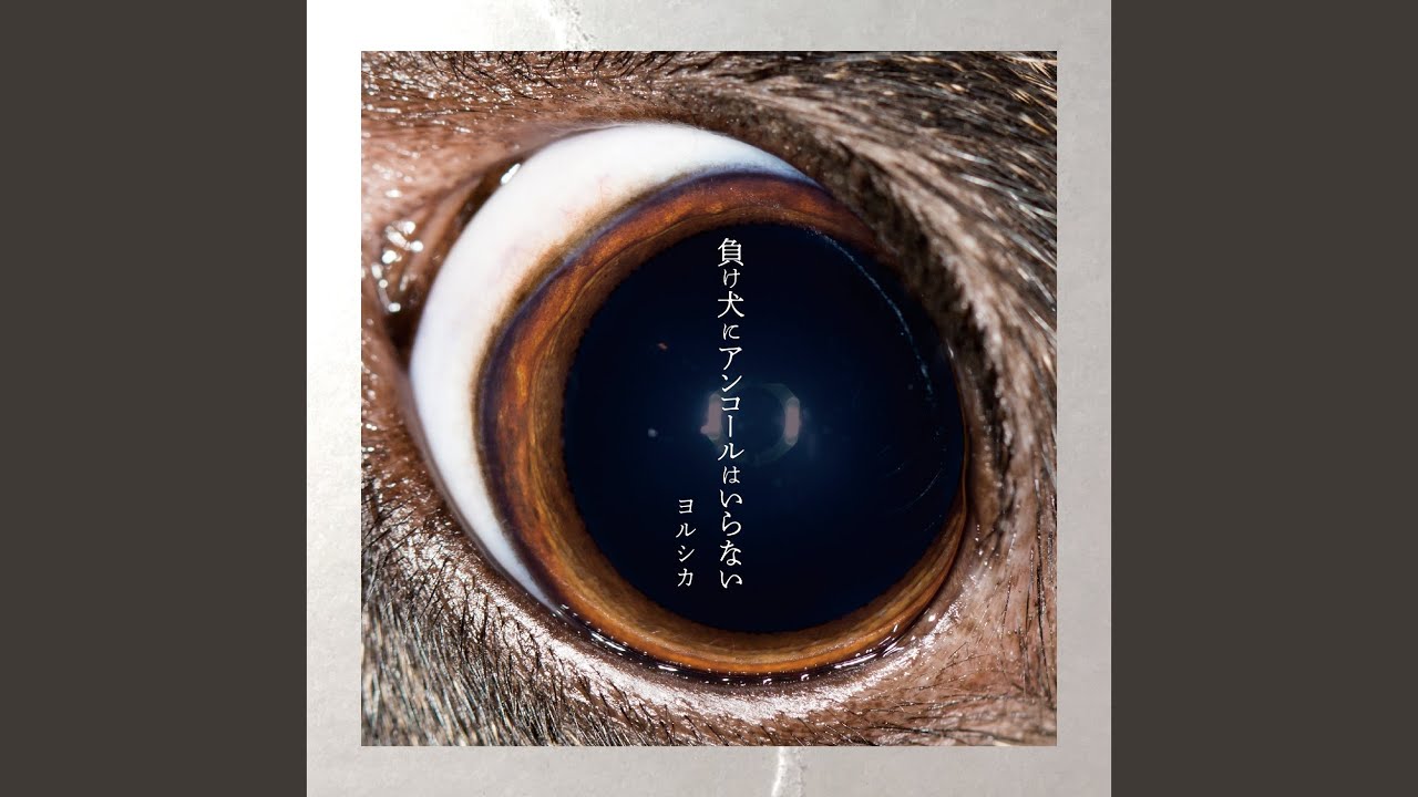 負け犬にアンコールはいらない