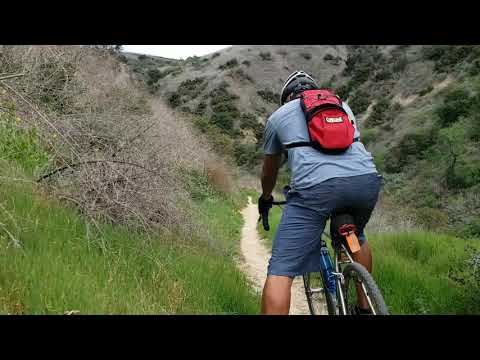 Masi CX on Cowpatch trail