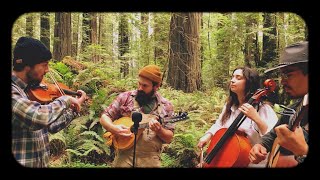 The Riverside - Be Thou My Vision - Giant Session (Humboldt, CA)