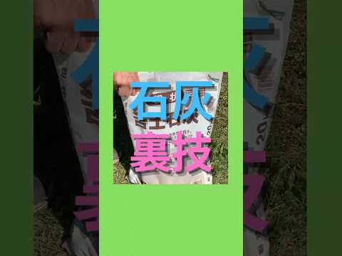 いつ、どのように庭に石灰を加えるのですか？どの植物が最も恩恵を受けるでしょうか?またその理由は何ですか?  庭園