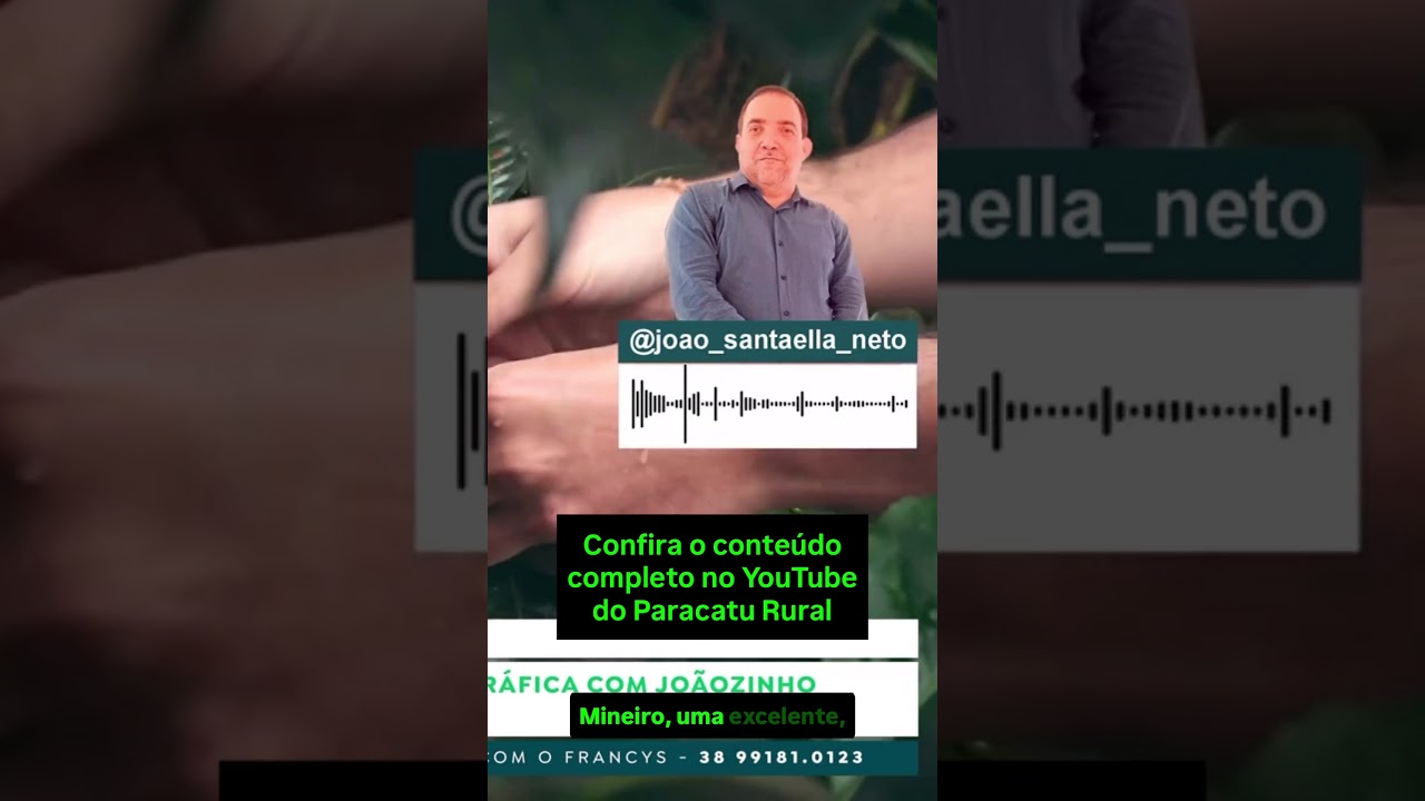 CAFÉ: Safra Recorde da Conab e Clima em Alerta: Saca Vai Subir R$250?