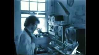 R. Stevie Moore ~ Cool Daddio (1978)